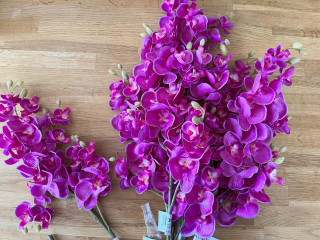 Orchidej 